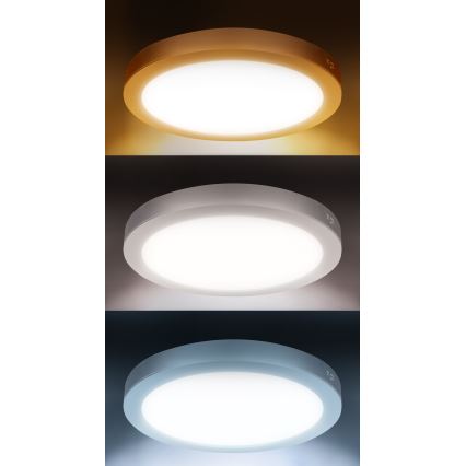 LED-pinta-/upotettava paneeli 2-in-1 24W/230V 3000/4000/6000K Ø 30 cm IP54 valkoinen