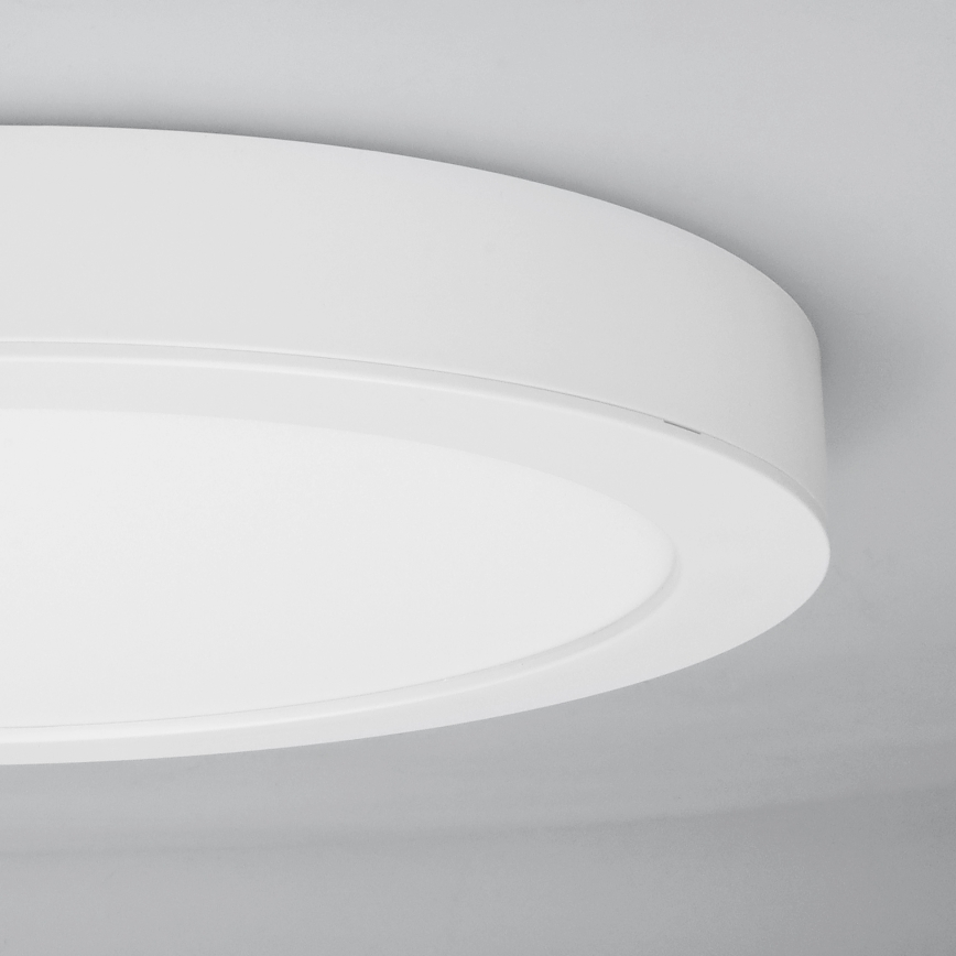 LED-pinta-/upotettava paneeli 2-in-1 24W/230V 3000/4000/6000K Ø 30 cm IP54 valkoinen