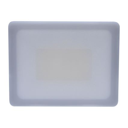 LED Ulkovalaisin LED/30W/230V 4000K IP65