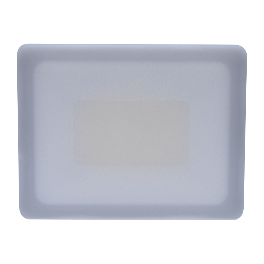 LED Ulkovalaisin LED/30W/230V 4000K IP65