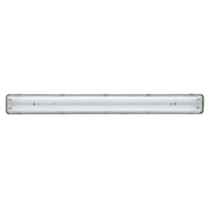 Työloisteputkivalo T8 2xG13/18W/230V IP65