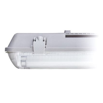 Työloisteputkivalo T8 2xG13/18W/230V IP65