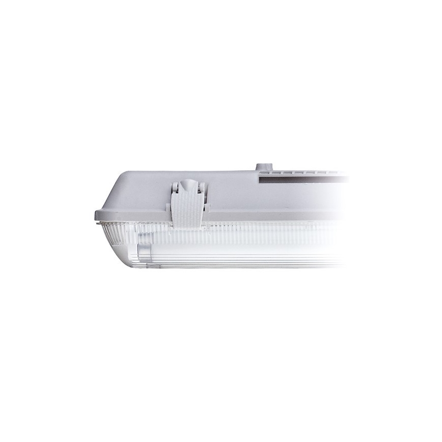 Työloisteputkivalo T8 2xG13/18W/230V IP65