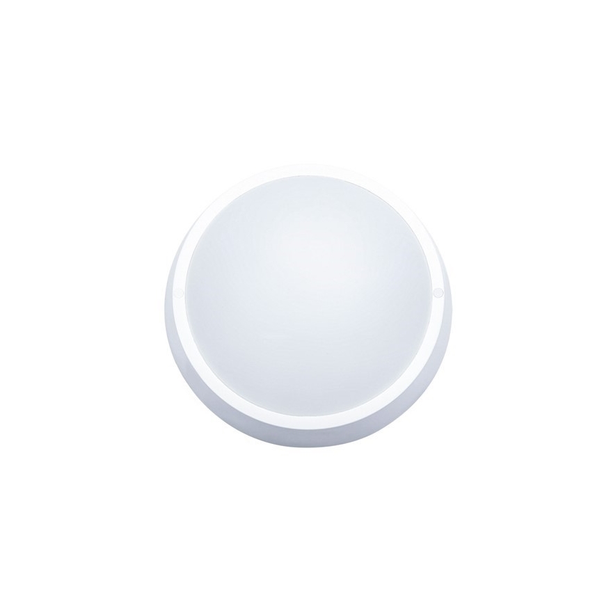 LED-ulkokattovalaisin LED/30W/230V  IP65