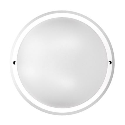 LED-ulkokattovalaisin LED/30W/230V  IP65