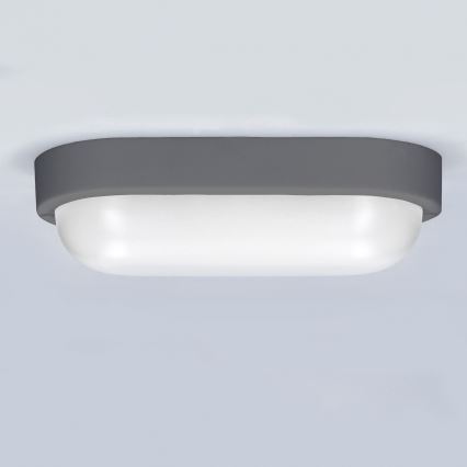 LED-ulkoseinävalaisin LED/13W/230V 4000K IP54 harmaa soikea