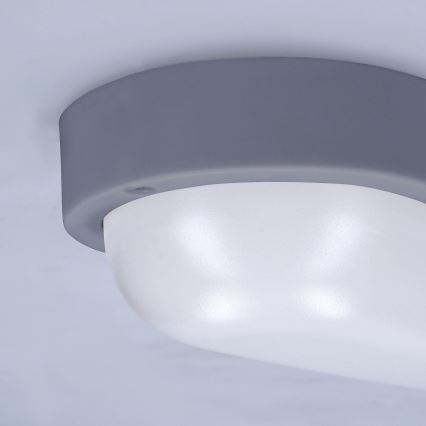LED-ulkoseinävalaisin LED/13W/230V 4000K IP54 harmaa soikea