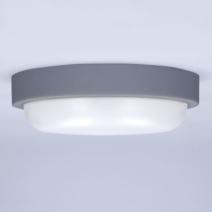 LED-ulkoseinävalaisin LED/20W/230V 4000K IP54 harmaa pyöreä
