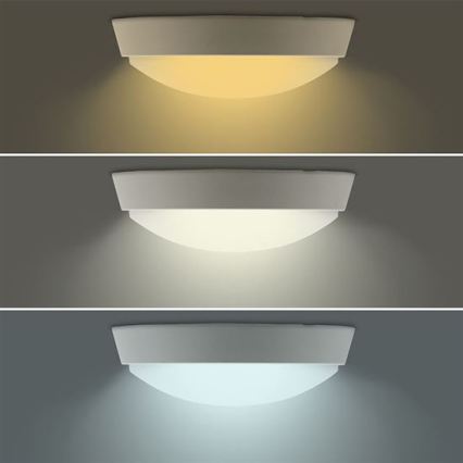 LED-ulko-seinävalaisin 2-in-1 LED/20W/230V 3000/4000/6500K IP65 halkaisija 22 cm