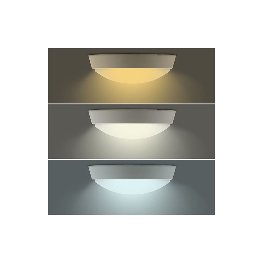 LED-ulko-seinävalaisin 2-in-1 LED/20W/230V 3000/4000/6500K IP65 halkaisija 22 cm