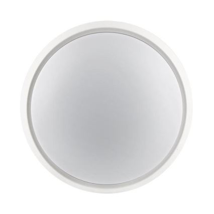 LED Ulkovalo 2in1 LED/18W/230V IP54