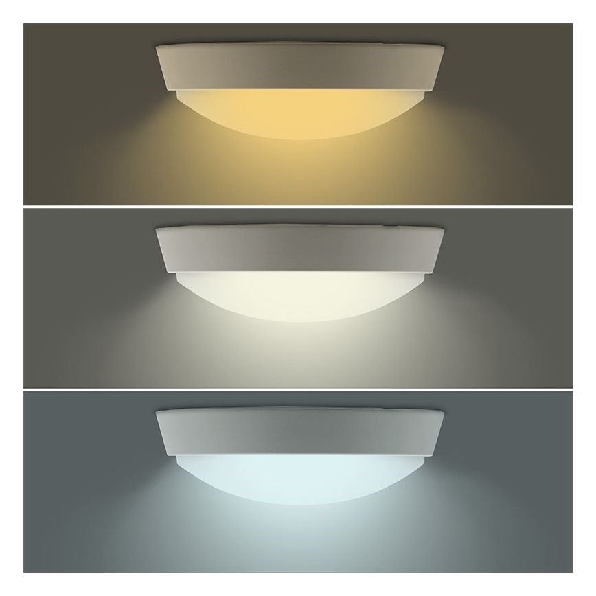 LED Ulkovalo 2in1 LED/18W/230V IP54