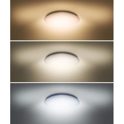 LED Kattovalo PLAIN LED/36W/230V 3000/4000/6000K pyöreä