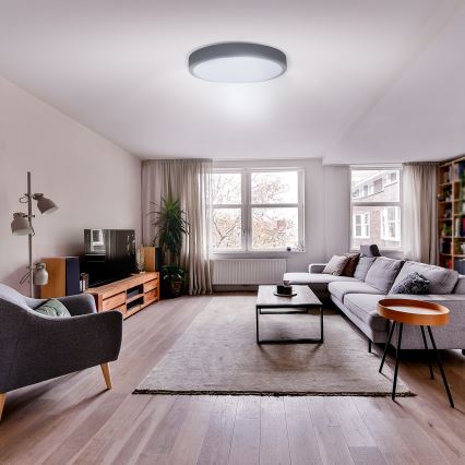 LED himmennettävä kattovalaisin GREY LED/48W/230V 3000-6500K harmaa halkaisija 38 cm + kaukosäädin