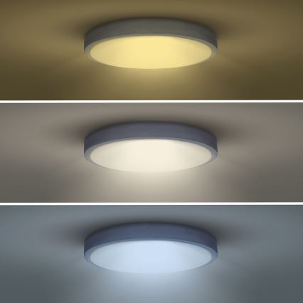 LED himmennettävä kattovalaisin GREY LED/60W/230V 3000-6500K harmaa halkaisija 49 cm + kaukosäädin