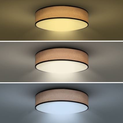LED himmennettävä kattovalaisin BROWNIE LED/60W/230V 3000-6500K ruskea halkaisija 50 cm + kaukosäädin