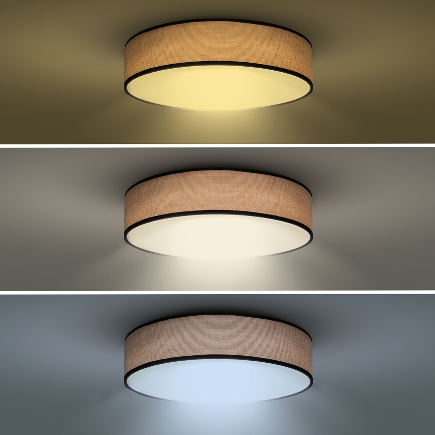 LED himmennettävä kattovalaisin BROWNIE LED/60W/230V 3000-6500K ruskea halkaisija 50 cm + kaukosäädin