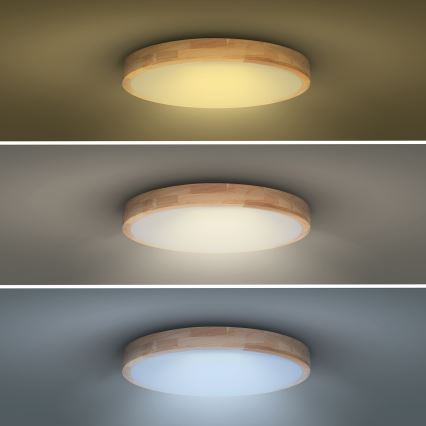 LED himmennettävä kattovalaisin SOLID OAK LED/60W/230V 3000-6500K tammi Ø 51 cm + kaukosäädin