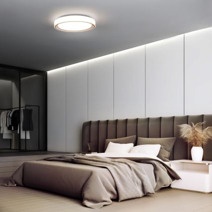 Himmennettävä LED-RGB-kattovalaisin FLOCO LED/30W/230V 3000-6500K + RGB/6W halkaisija 40cm + kauko-ohjaus