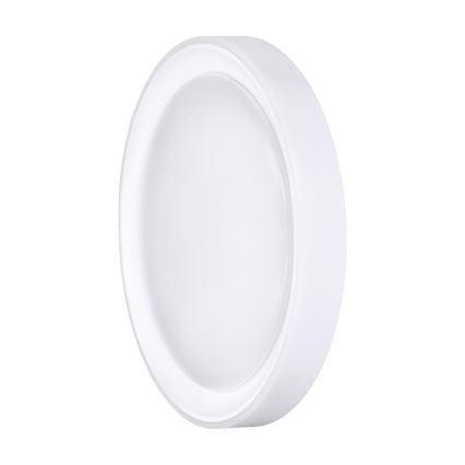 Himmennettävä LED-RGB-kattovalaisin FLOCO LED/30W/230V 3000-6500K + RGB/6W halkaisija 40cm + kauko-ohjaus