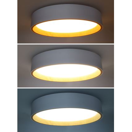 LED himmennettävä kattovalaisin LARIOS LED/48W/230V 3000-6500K Ø39 cm valkoinen + kaukosäädin
