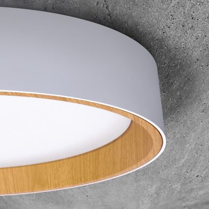 LED himmennettävä kattovalaisin LARIOS LED/48W/230V 3000-6500K Ø39 cm valkoinen + kaukosäädin