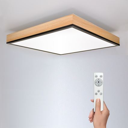 LED Himmennettävä kattovalaisin LED/40W/230V 3000-6500K + kaukosäädin