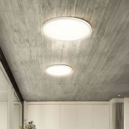 LED-himmennettävä kattovalaisin, pinta-asennettava riippuvalaisin LED/40W/230V 3000-6500K + kaukosäädin