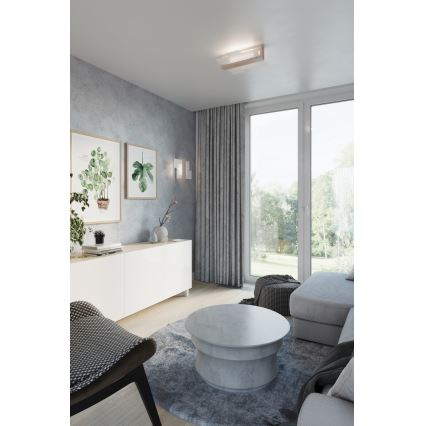 Kattovalo FENIKS 2 2xE27/60W/230V Koivu/pyökki