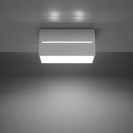 Kattovalo LOBO 2xG9/40W/230V valkoinen