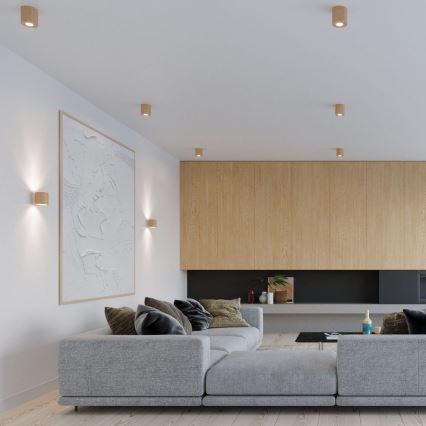 Kohdevalo ORBIS 1xGU10/10W/230V pyökki