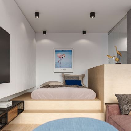 Kohdevalo TIUBE 1xGU10-AR111/10W/230V