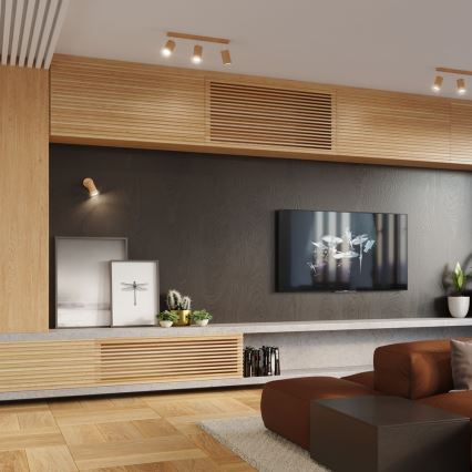 Seinäkohdevalo BERGE 1xGU10/40W/230V pyökki