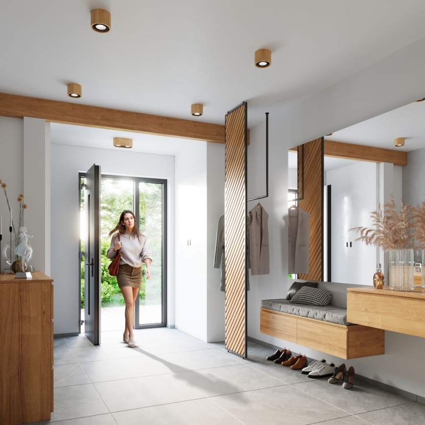 Kattovalo BASIC AR111 2xGU10/40W/230V pyökki