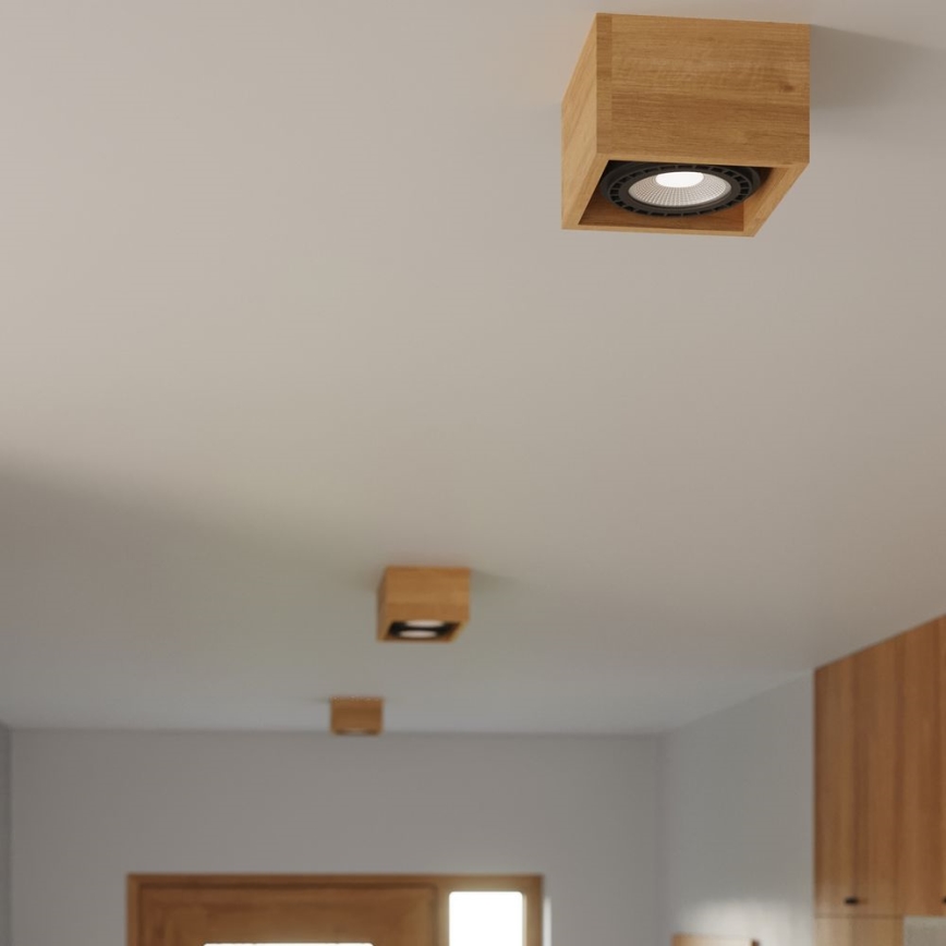 Kattovalo QUATRO AR111 2xGU10/40W/230V pyökki