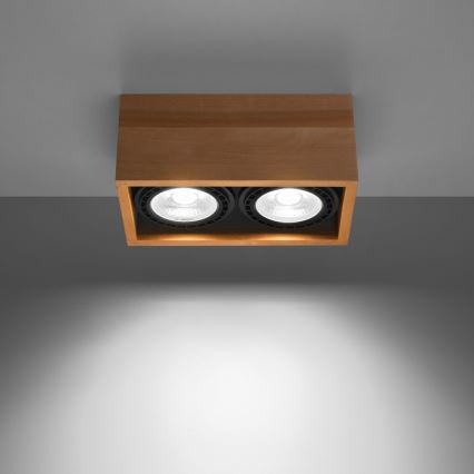 Kattovalo QUATRO AR111 2xGU10/40W/230V pyökki