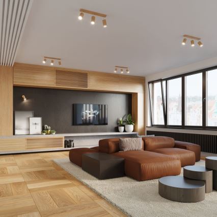 Kohdevalo BERG 4xGU10/40W/230V pyökki