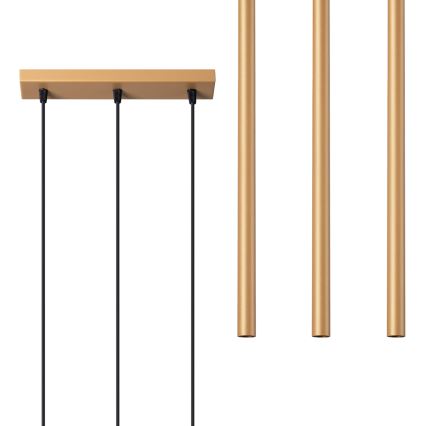 Kattokruunu johdossa PASTELO 3xG9/8W/230V kulta