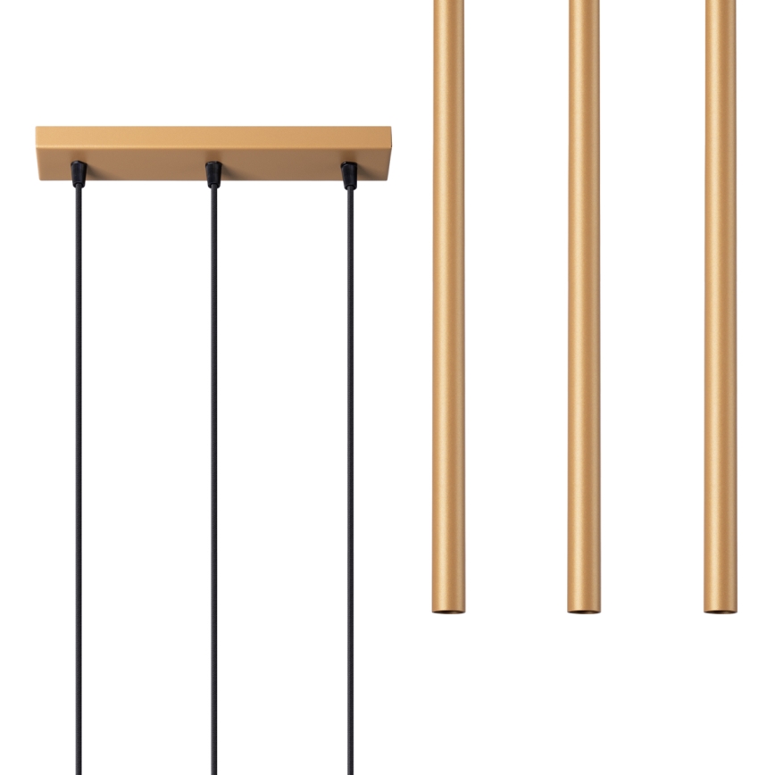 Kattokruunu johdossa PASTELO 3xG9/8W/230V kulta