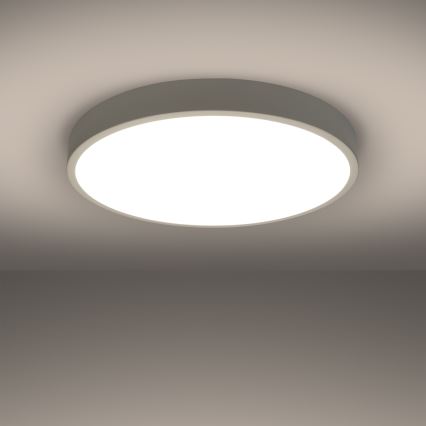 LED-kattovalaisin ONYX LED/48W/230V Ø 60 cm valkoinen