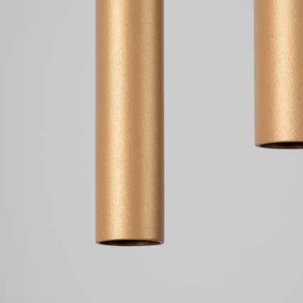 Kattokruunu johdossa PASTELO 2xG9/8W/230V kulta