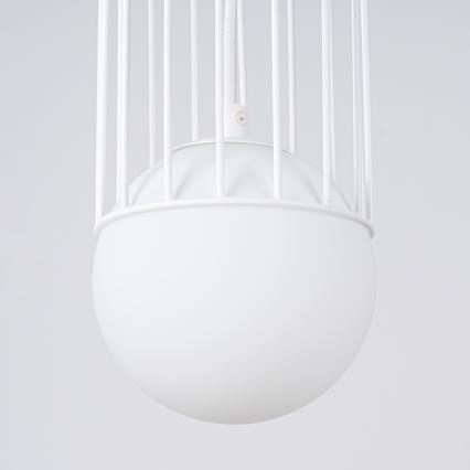 Kattokruunu johdossa BRINA 1xG9/8W/230V valkoinen