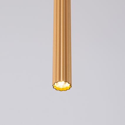 Kattokruunu johdossa ARCHE 1xG9/8W/230V kulta