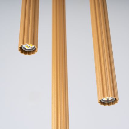 Kattokruunu johdossa ARCHE 3xG9/8W/230V kulta