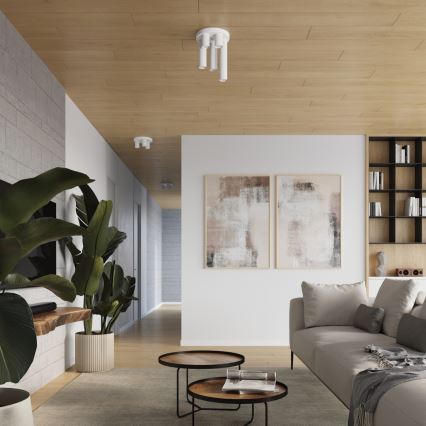 Kohdevalo LAGOS 5xGU10/10W/230V valkoinen