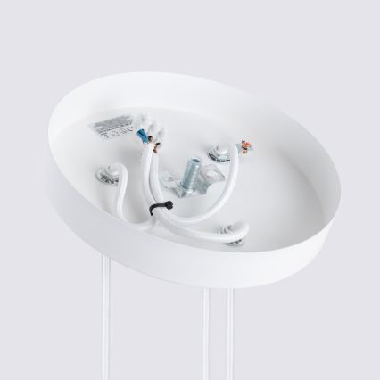 Kattokruunu johdossa KARBON 3xGU10/10W/230V valkoinen