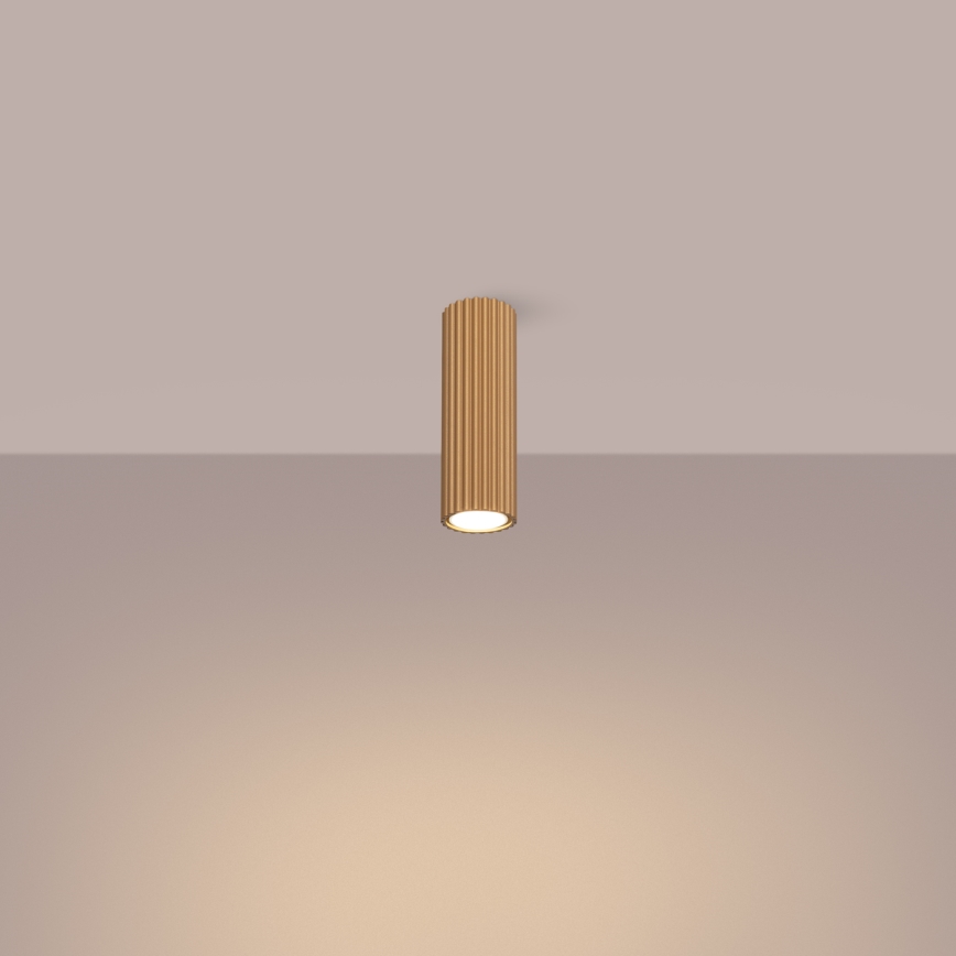 Kohdevalo KARBON 1xGU10/10W/230V 20 cm kulta