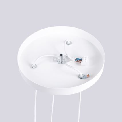 Kattokruunu johdossa HALO 3xG9/8W/230V halkaisija 25 cm valkoinen