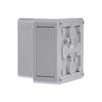 Spelsberg 11090301 -Tekninen laatikko TK PS 99-8-o IP66