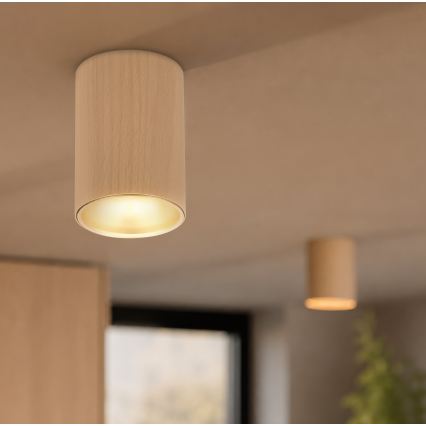Spottivalaisin TUBE 1xGU10/15W/230V beige
